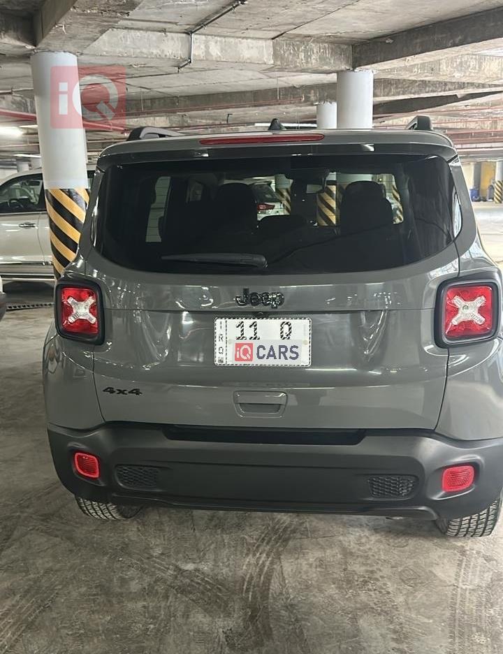 جيب رينيجيد